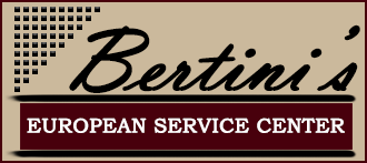 Bertini's European Service Center - logo